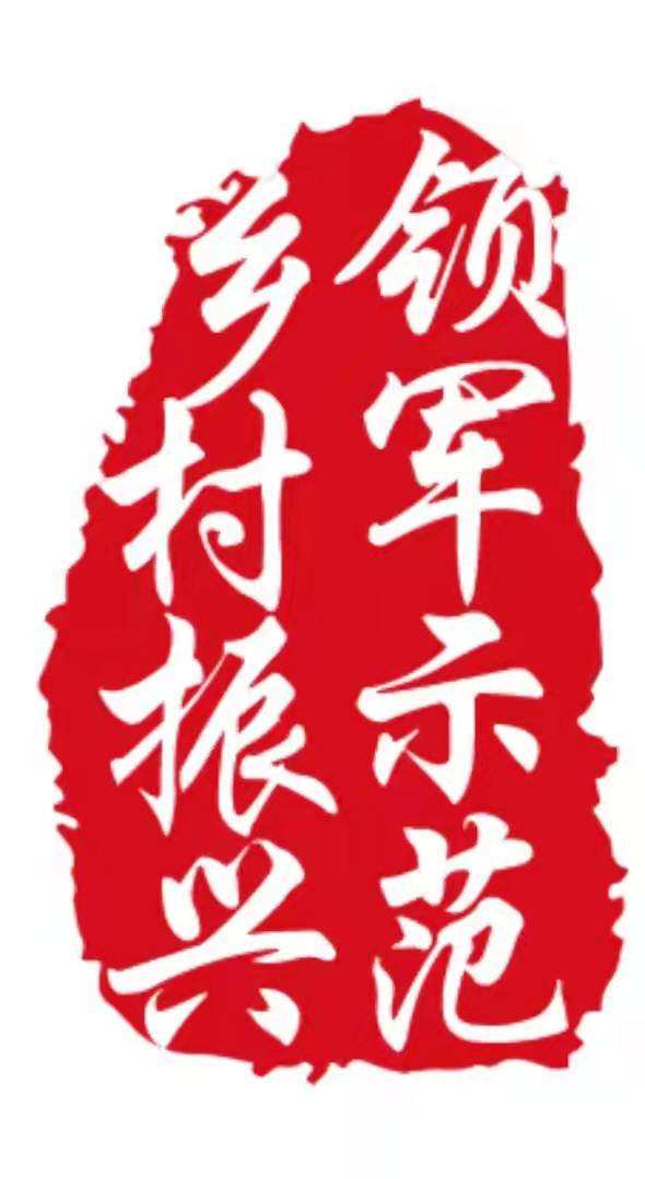 乡村振兴领军示范logo
